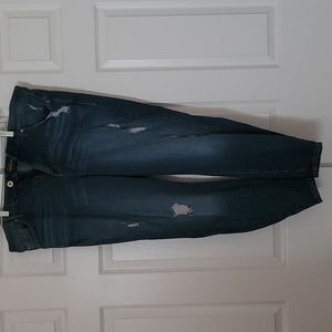 Torrid Sky High Skinny Jeans